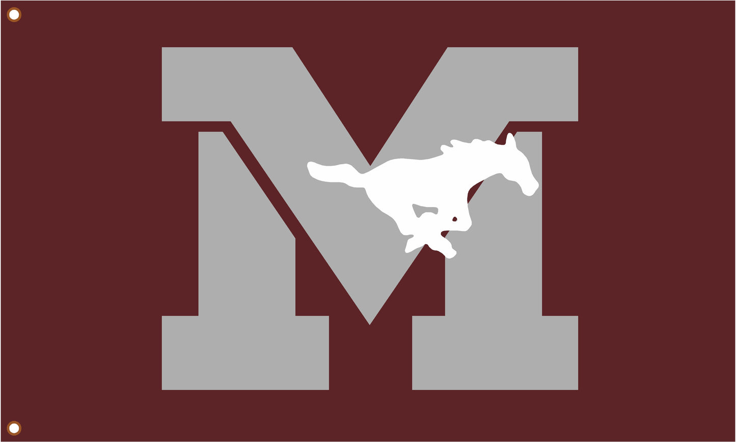 MV School Logo Flag